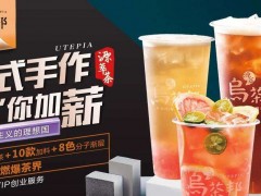 饮品投资项目选择乌茶邦加盟怎么样