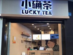 想开个小确茶加盟店成本要多少