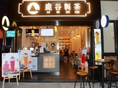 鹿谷制茶加盟店如何经营赚钱?