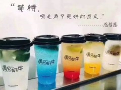 哪个奶茶品牌加盟费便宜？而且口碑好