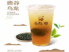 乌龙煎奶茶加盟条件是什么，特色产品是什么？