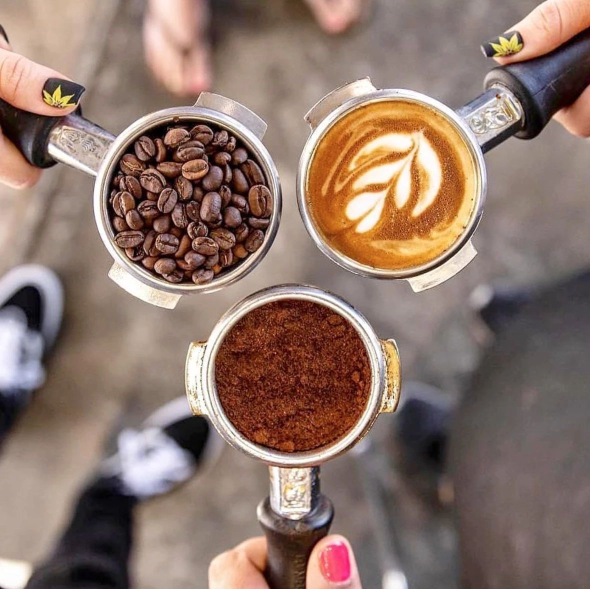 咖啡品鉴｜ 咖啡品种在不同国家和地区表现不同风味
